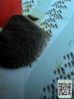 b5ea88ff9490f58ed47fa9778e0206b3.jpg